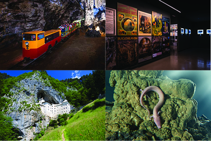 Höhle von Postojna+Burg Predjama+Proteus Höhle-Vivarium+Ausstellung der Schmetterlinge+EXPO die Höhle von Postojna Karst – GESCHENKGUTSCHEIN