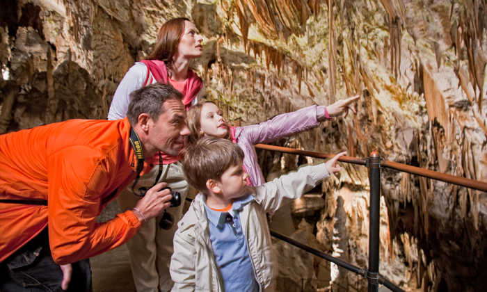 Visite de la Grotte de Postojna