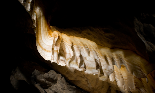Grotte di Postumia + Castello di Predjama +  Grotta del Proteo,  il Vivaio +  mostra Le farfalle del mondo