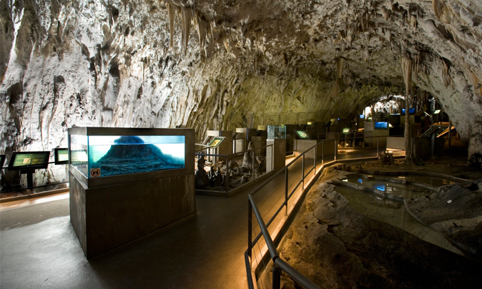 Höhle von Postojna + Vivarium