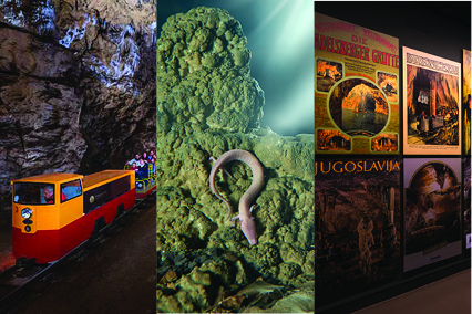 Höhle von Postojna + Proteus Höhle - Vivarium  + Ausstellung der Schmetterlinge  + EXPO die Höhle von Postojna Karst